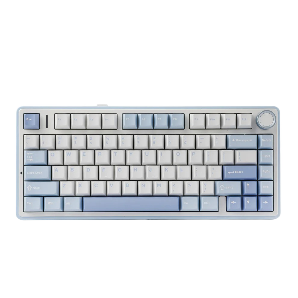 Color: Sea Salt Blue (Graywood V3 Switch)