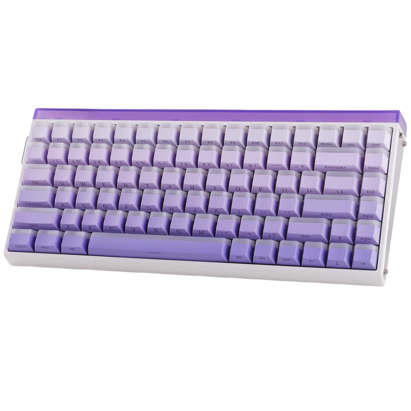 Color: Gradient Purple Side Engraved (Jade King Magnetic Switch)